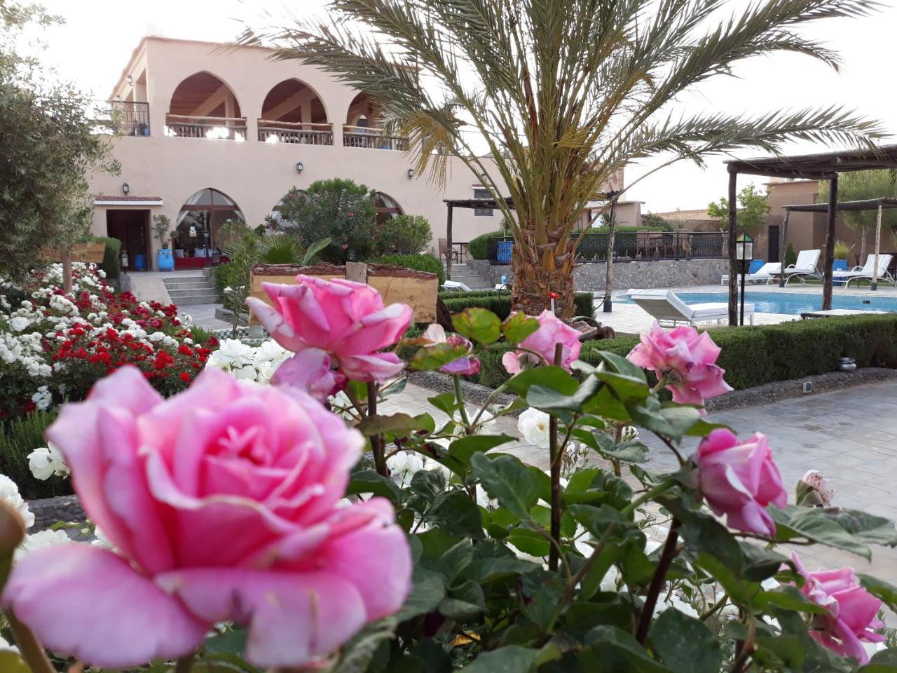 סקורה Taloute Ecolodge מראה חיצוני תמונה